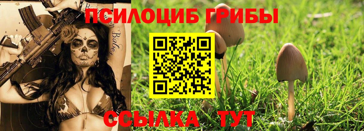Псилоцибиновые грибы ЛСД  Вход с VPN  Псилоцибиновые грибы Magic Shrooms  Долгопрудный 